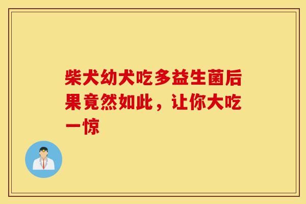 柴犬幼犬吃多益生菌后果竟然如此，让你大吃一惊
