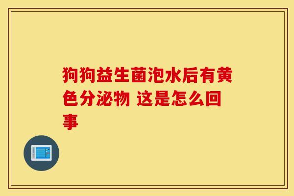 狗狗益生菌泡水后有黄色分泌物 这是怎么回事