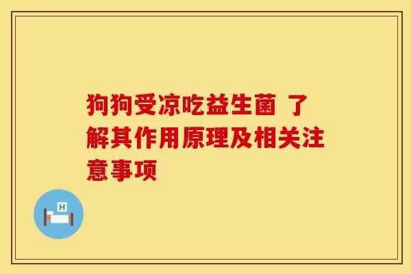 狗狗受凉吃益生菌 了解其作用原理及相关注意事项