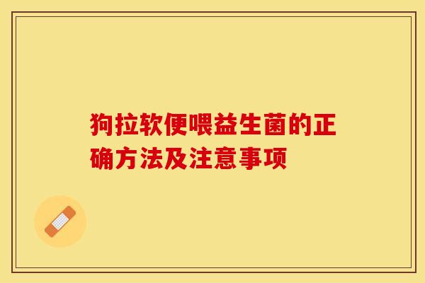 狗拉软便喂益生菌的正确方法及注意事项