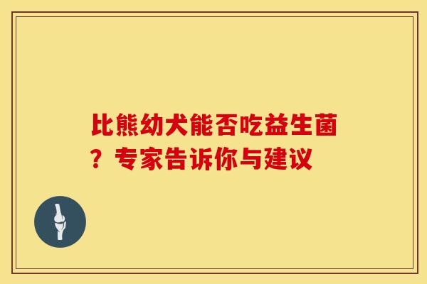 比熊幼犬能否吃益生菌？专家告诉你与建议