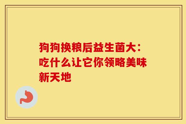 狗狗换粮后益生菌大：吃什么让它你领略美味新天地