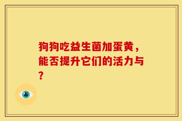 狗狗吃益生菌加蛋黄，能否提升它们的活力与？