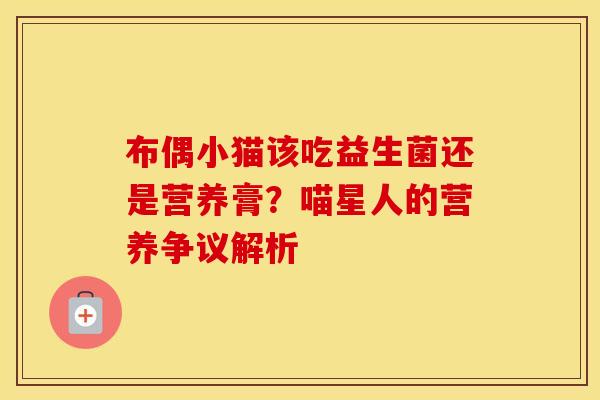 布偶小猫该吃益生菌还是营养膏？喵星人的营养争议解析