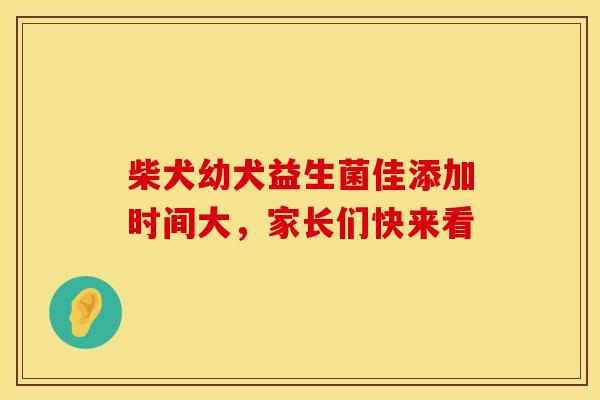 柴犬幼犬益生菌佳添加时间大，家长们快来看