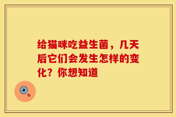 给猫咪吃益生菌，几天后它们会发生怎样的变化？你想知道