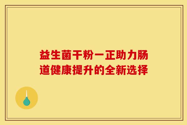 益生菌干粉一正助力肠道健康提升的全新选择