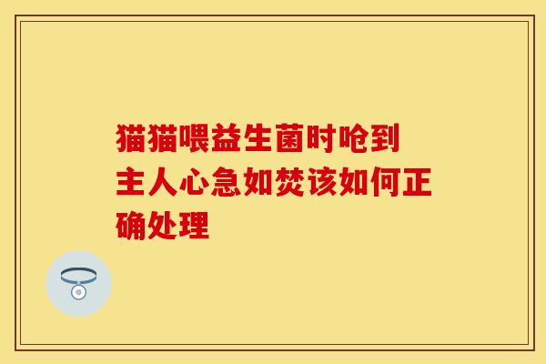 猫猫喂益生菌时呛到 主人心急如焚该如何正确处理