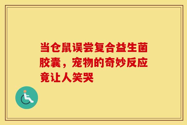 当仓鼠误尝复合益生菌胶囊，宠物的奇妙反应竟让人笑哭