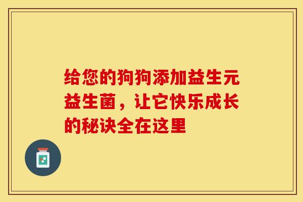 给您的狗狗添加益生元益生菌，让它快乐成长的秘诀全在这里