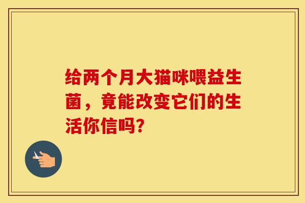 给两个月大猫咪喂益生菌，竟能改变它们的生活你信吗？