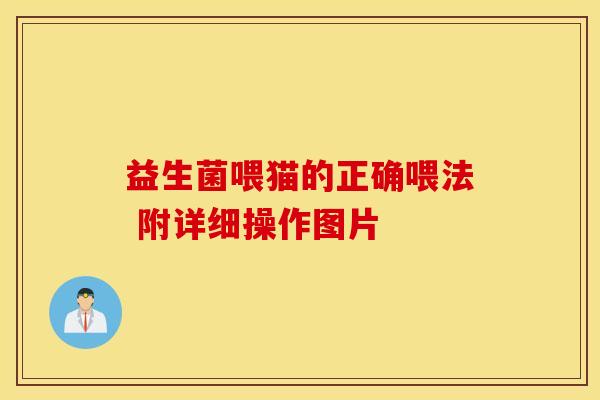 益生菌喂猫的正确喂法 附详细操作图片
