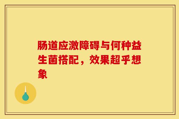 肠道应激障碍与何种益生菌搭配，效果超乎想象