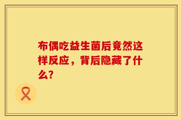 布偶吃益生菌后竟然这样反应，背后隐藏了什么？