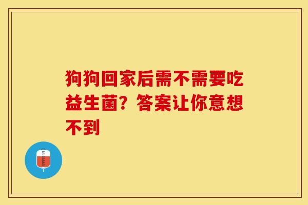 狗狗回家后需不需要吃益生菌？答案让你意想不到