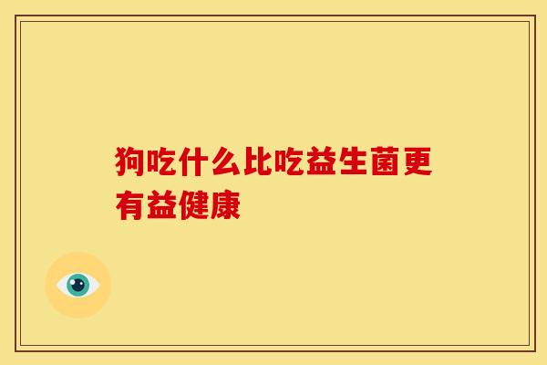 狗吃什么比吃益生菌更有益健康