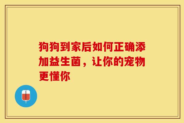 狗狗到家后如何正确添加益生菌，让你的宠物更懂你