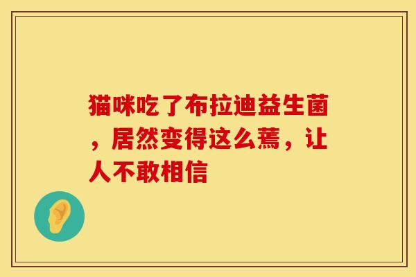 猫咪吃了布拉迪益生菌，居然变得这么蔫，让人不敢相信