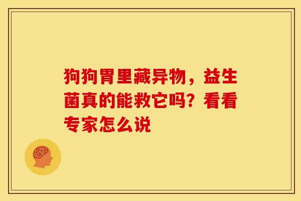 狗狗胃里藏异物，益生菌真的能救它吗？看看专家怎么说