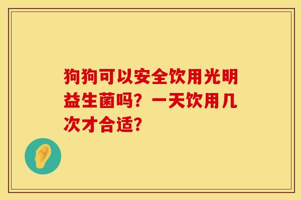 狗狗可以安全饮用光明益生菌吗？一天饮用几次才合适？