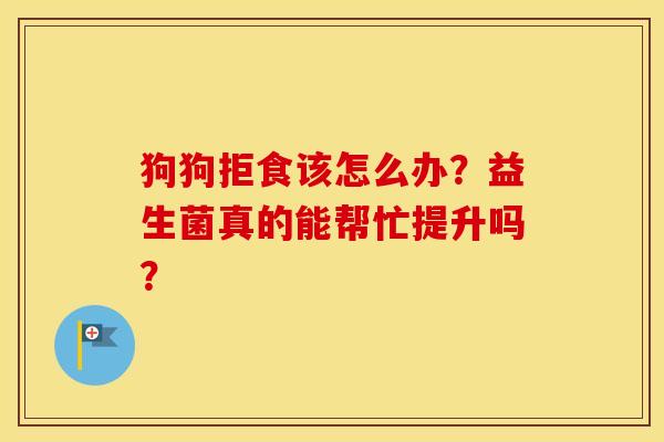 狗狗拒食该怎么办？益生菌真的能帮忙提升吗？