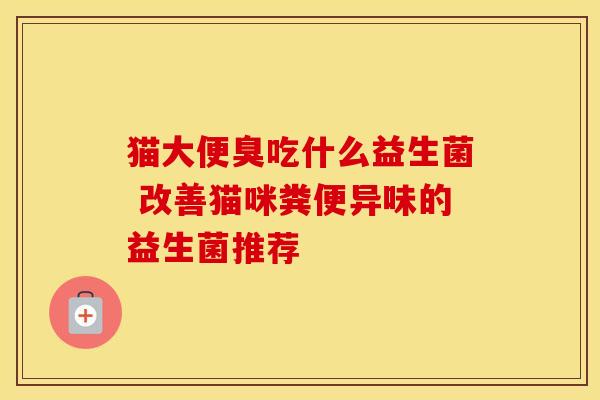 猫大便臭吃什么益生菌 改善猫咪粪便异味的益生菌推荐