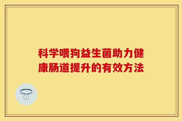 科学喂狗益生菌助力健康肠道提升的有效方法