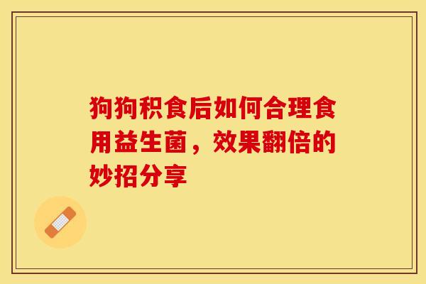 狗狗积食后如何合理食用益生菌，效果翻倍的妙招分享