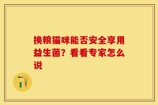 换粮猫咪能否安全享用益生菌？看看专家怎么说