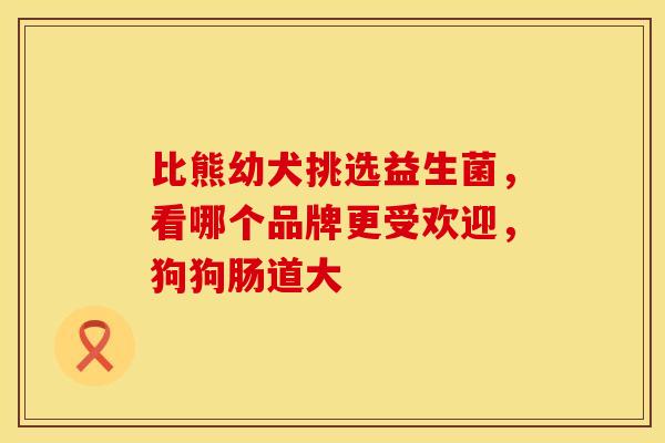 比熊幼犬挑选益生菌，看哪个品牌更受欢迎，狗狗肠道大
