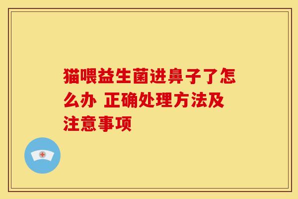 猫喂益生菌进鼻子了怎么办 正确处理方法及注意事项
