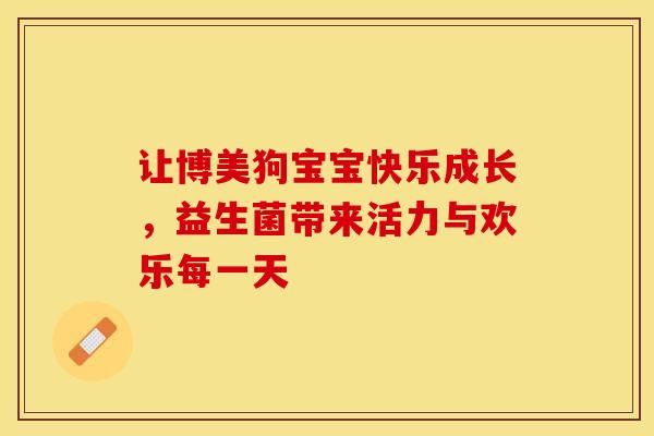 让博美狗宝宝快乐成长，益生菌带来活力与欢乐每一天