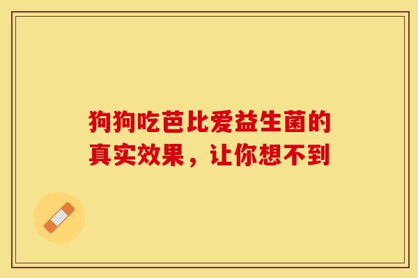 狗狗吃芭比爱益生菌的真实效果，让你想不到