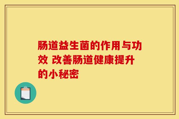 肠道益生菌的作用与功效 改善肠道健康提升的小秘密