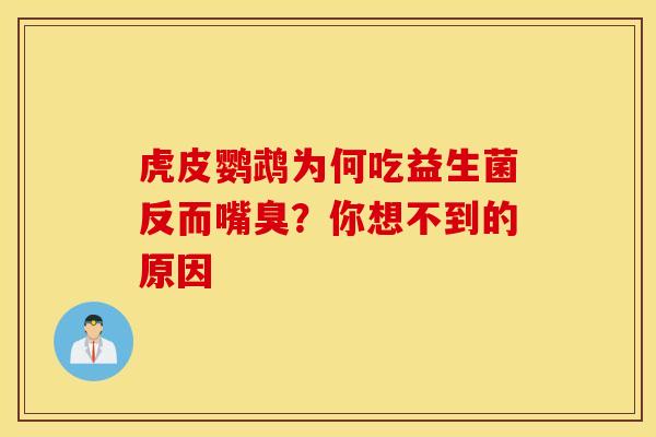 虎皮鹦鹉为何吃益生菌反而嘴臭？你想不到的原因