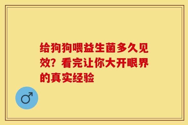 给狗狗喂益生菌多久见效？看完让你大开眼界的真实经验