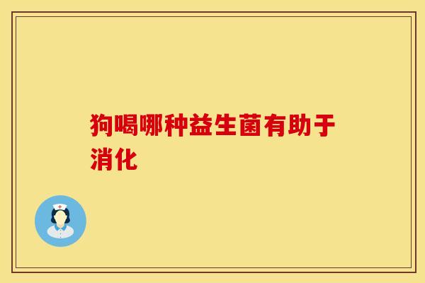 狗喝哪种益生菌有助于消化
