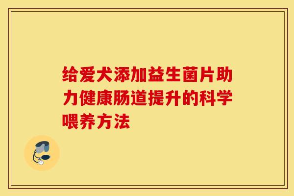 给爱犬添加益生菌片助力健康肠道提升的科学喂养方法