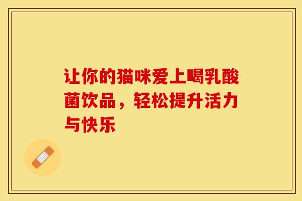 让你的猫咪爱上喝乳酸菌饮品，轻松提升活力与快乐