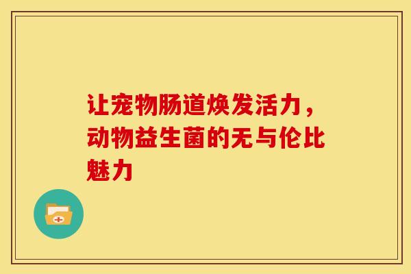 让宠物肠道焕发活力，动物益生菌的无与伦比魅力