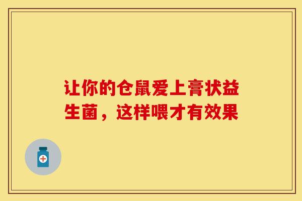 让你的仓鼠爱上膏状益生菌，这样喂才有效果