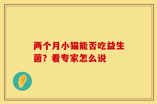 两个月小猫能否吃益生菌？看专家怎么说