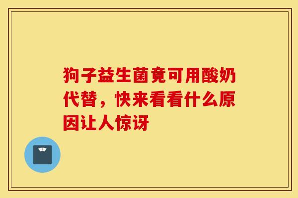 狗子益生菌竟可用酸奶代替，快来看看什么原因让人惊讶