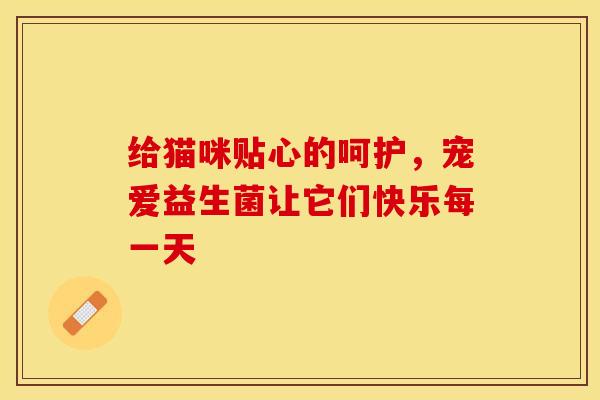 给猫咪贴心的呵护，宠爱益生菌让它们快乐每一天