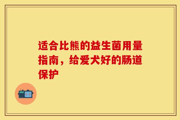 适合比熊的益生菌用量指南，给爱犬好的肠道保护