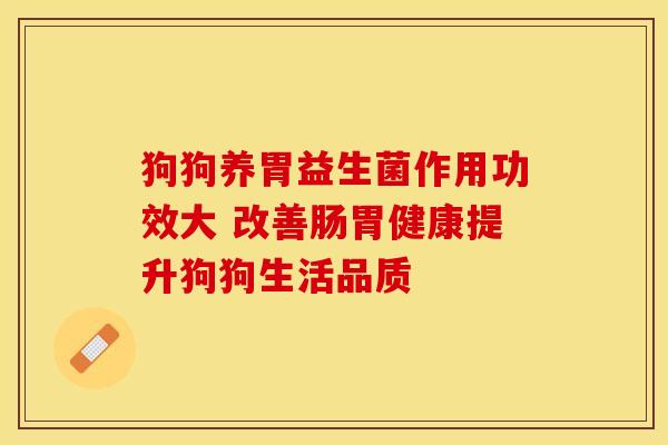 狗狗养胃益生菌作用功效大 改善肠胃健康提升狗狗生活品质
