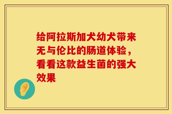 给阿拉斯加犬幼犬带来无与伦比的肠道体验，看看这款益生菌的强大效果