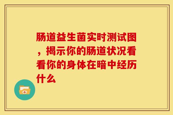 肠道益生菌实时测试图，揭示你的肠道状况看看你的身体在暗中经历什么
