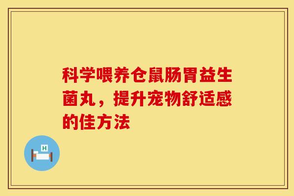 科学喂养仓鼠肠胃益生菌丸，提升宠物舒适感的佳方法