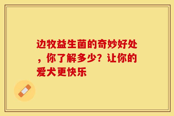 边牧益生菌的奇妙好处，你了解多少？让你的爱犬更快乐